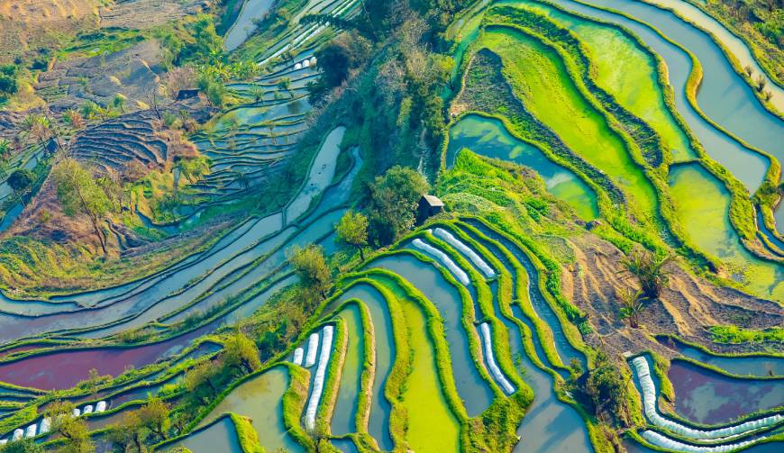 宝妈必备神器：五常市产品视频拍摄轻松育儿好帮手