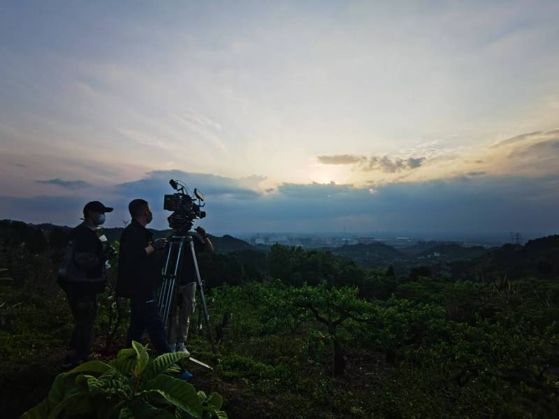 聚焦五常市产品宣传视频拍摄公司，用专业实力铸就品牌传播传奇